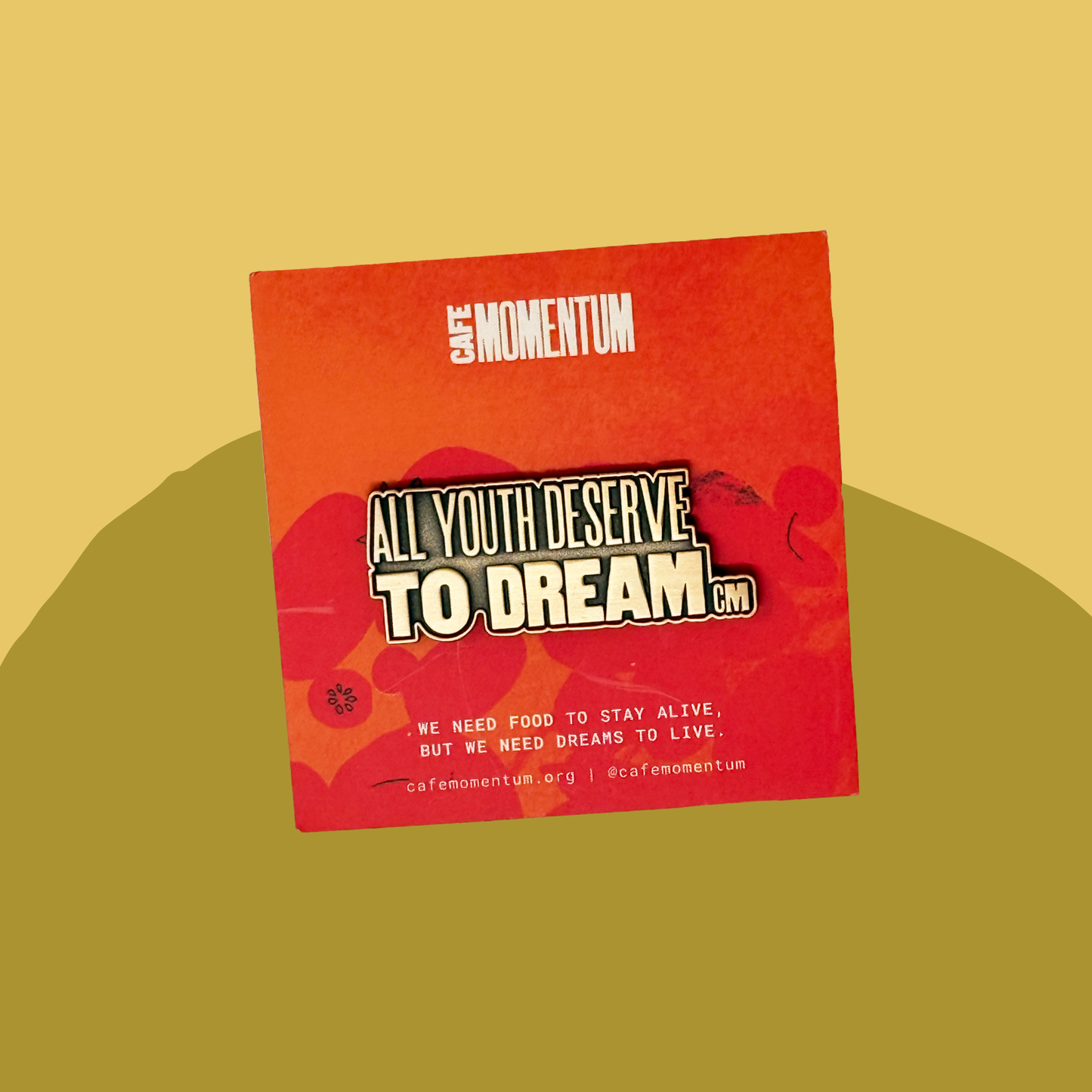 All Youth Deserve to Dream Pin